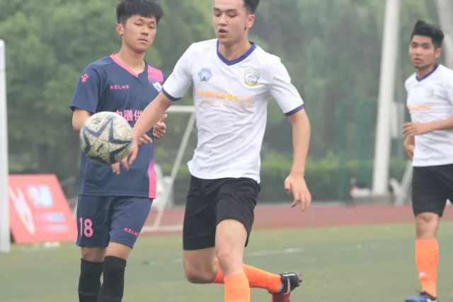 张兰与孙辈共享天伦之乐，喂锦鲤时光温馨动人